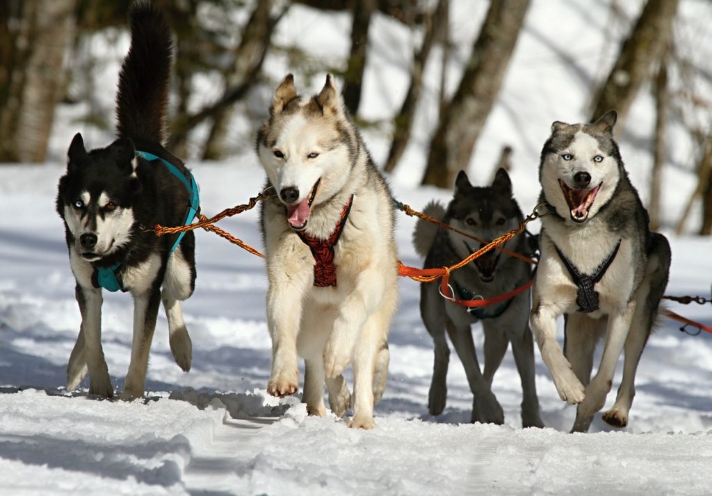 activités faire à la montagne